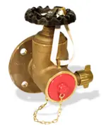 Landon Kingsway Dry Riser Outlet / Landing Valves 